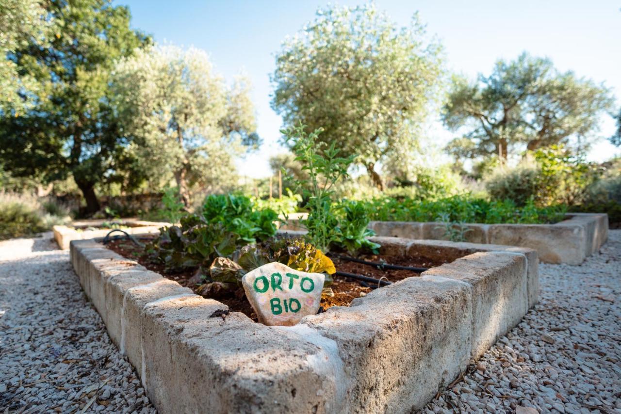 Trulli Ad Maiora Villa Alberobello Eksteriør bilde